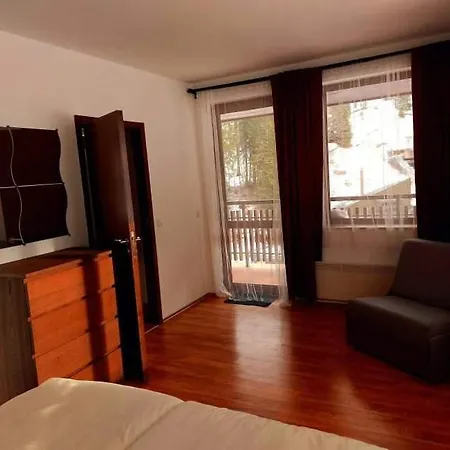 Апартамент Rada'S Place - Pamporovo Palace Aparthotel *